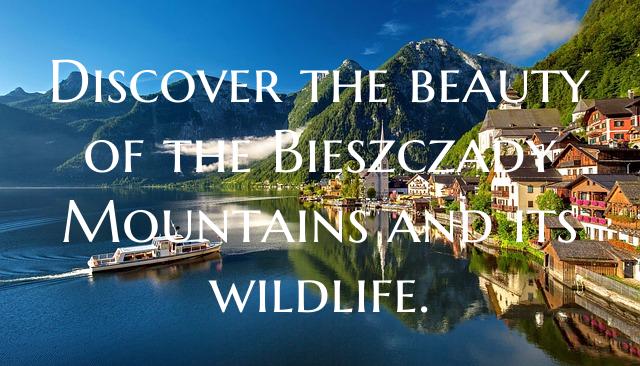 Discover the beauty of the Bieszczady Mountains an...