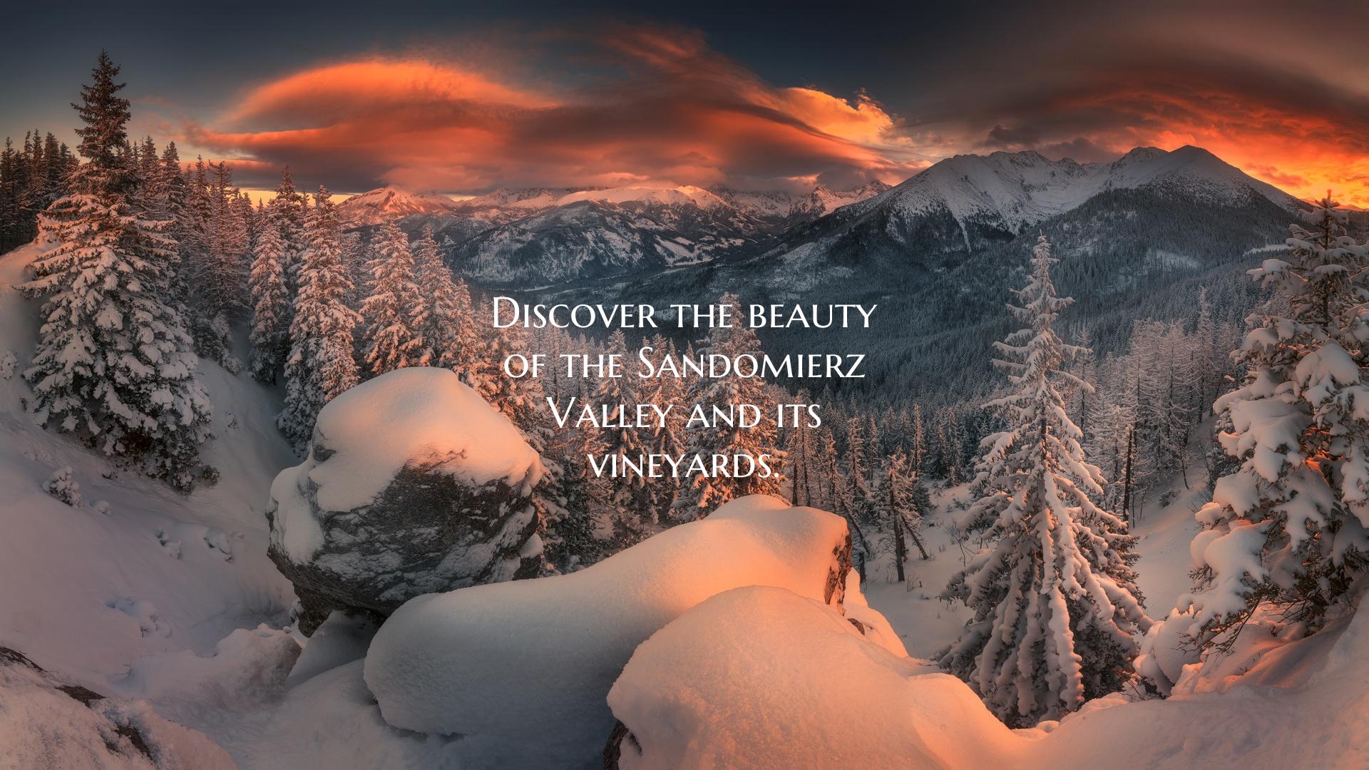 Discover the beauty of the Sandomierz Valley and i...